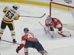 Penguins Panthers Hockey