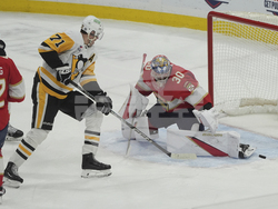 Penguins Panthers Hockey