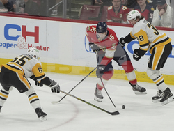 Penguins Panthers Hockey
