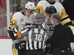 Penguins Panthers Hockey