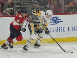 Penguins Panthers Hockey