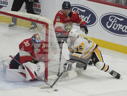 Penguins Panthers Hockey