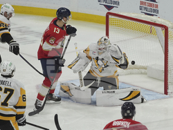 Penguins Panthers Hockey