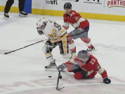 Penguins Panthers Hockey