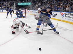 Senators Blues Hockey