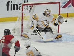 Penguins Panthers Hockey
