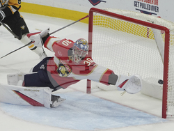 Penguins Panthers Hockey
