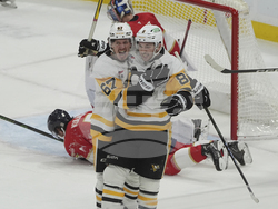 Penguins Panthers Hockey