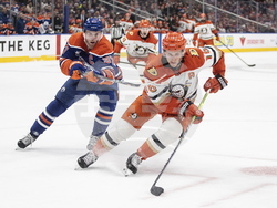 Ducks Oilers Hockey