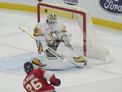 Penguins Panthers Hockey