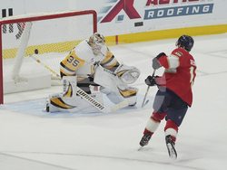 Penguins Panthers Hockey