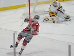 Penguins Panthers Hockey