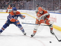 Ducks Oilers Hockey