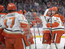 Ducks Oilers Hockey