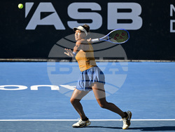 New Zealand Tennis