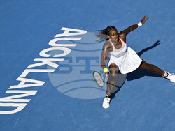 New Zealand Tennis