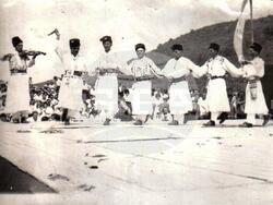 Местни автентични влашки хорá са запазени в село Софрониево