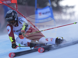 Slovenia Alpine Skiing World Cup