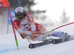 Slovenia Alpine Skiing World Cup