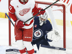 Red Wings Jets Hockey