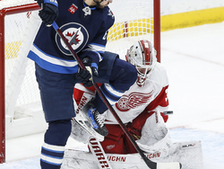 Red Wings Jets Hockey