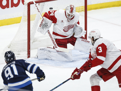 Red Wings Jets Hockey