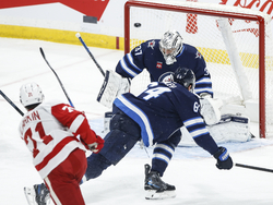 Red Wings Jets Hockey
