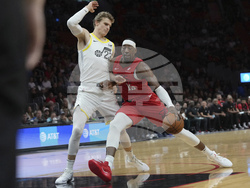 Jazz Heat Basketball