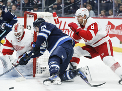 Red Wings Jets Hockey