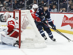 Red Wings Jets Hockey