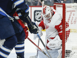 Red Wings Jets Hockey
