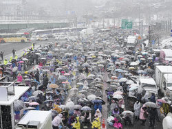 South Korea Martial Law