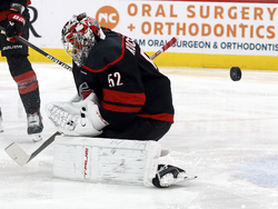 Wild Hurricanes Hockey