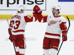 Red Wings Jets Hockey