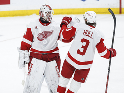 Red Wings Jets Hockey