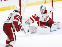 Red Wings Jets Hockey