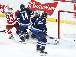 Red Wings Jets Hockey