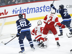Red Wings Jets Hockey