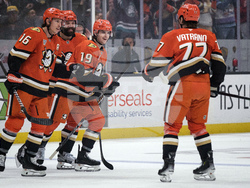 Lightning Ducks Hockey