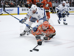 Lightning Ducks Hockey