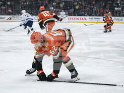 Lightning Ducks Hockey
