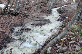 Търговище - валежи - пълноводие