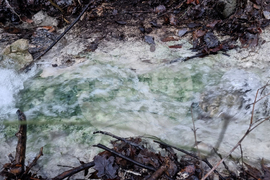 Търговище - валежи - пълноводие