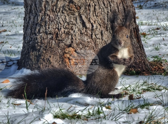 Зима - катеричка