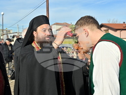 Монтана - Йордановден