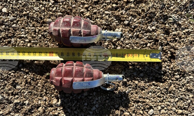 419 Unexploded Ordnance Items Destroyed by Bulgarian Armed Forces Units in 2025