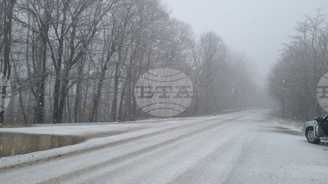В област Търговище за седмица са станали 11 катастрофи, няма загинали, леко е пострадал един пешеходец
