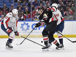 Capitals Sabres Hockey