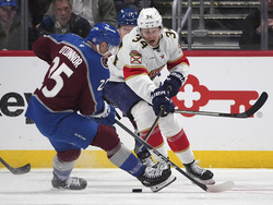 Panthers Avalanche Hockey