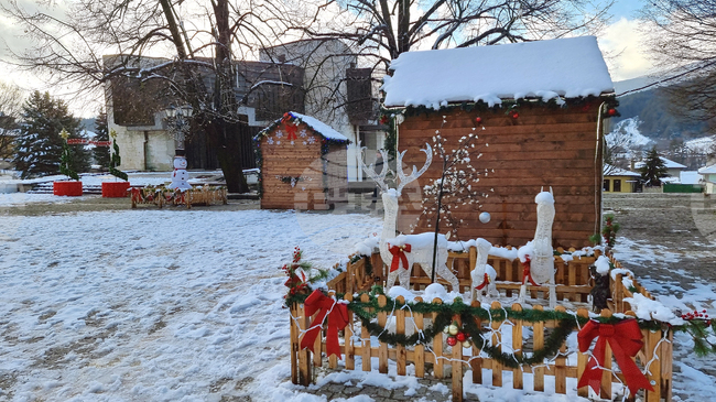 Светлините на коледната елха в Котел ще грейнат на 10 декември